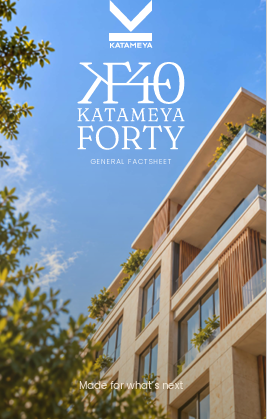 Katameya Forty, New Cairo,11073