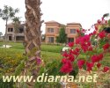 concord.compound,new cairo,villa for rent
