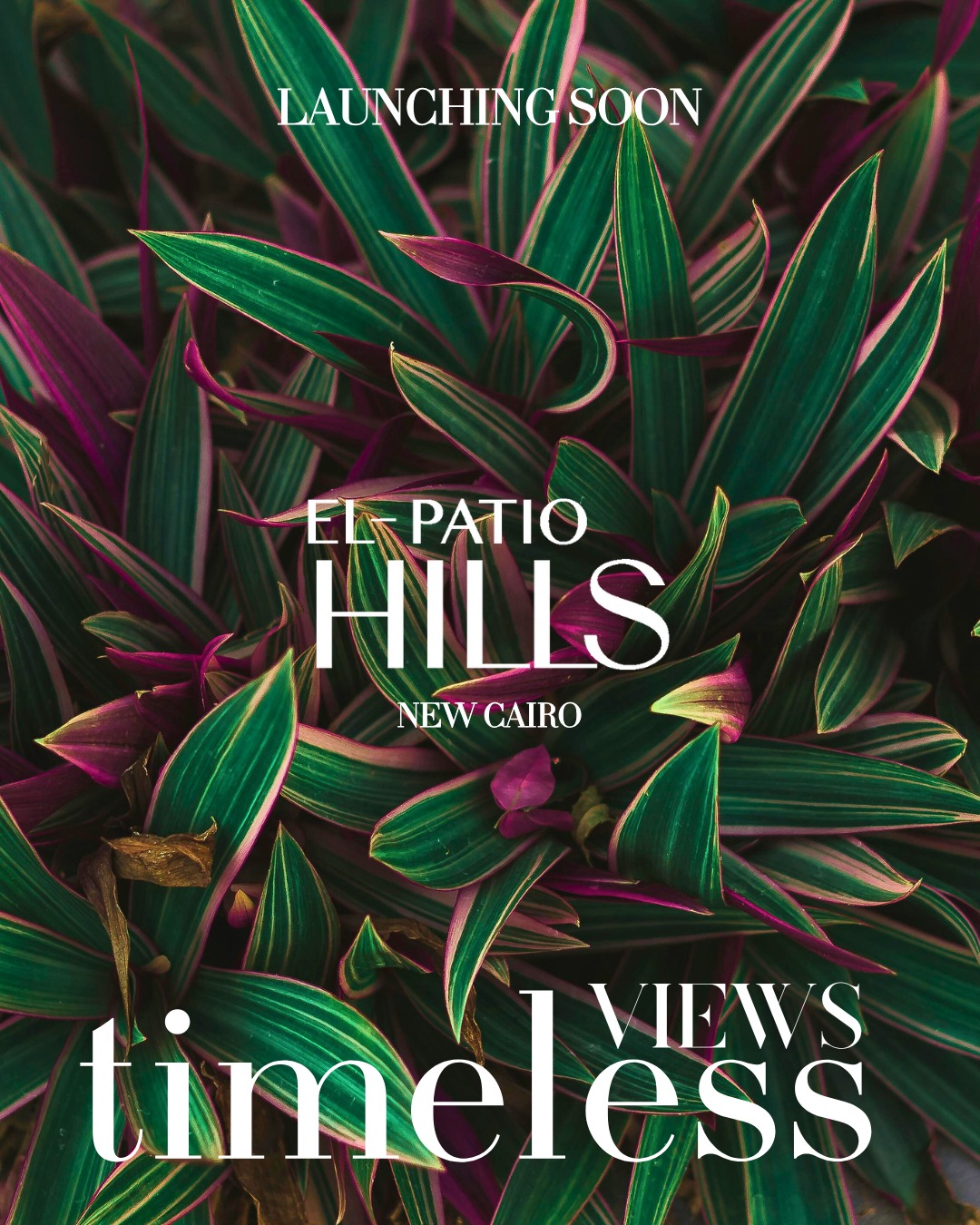 patio Hills, New Cairo New Cairo,8445