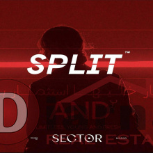 Sector Split Mall New Capital