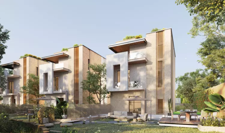 ivoire west, New Zayed,9917