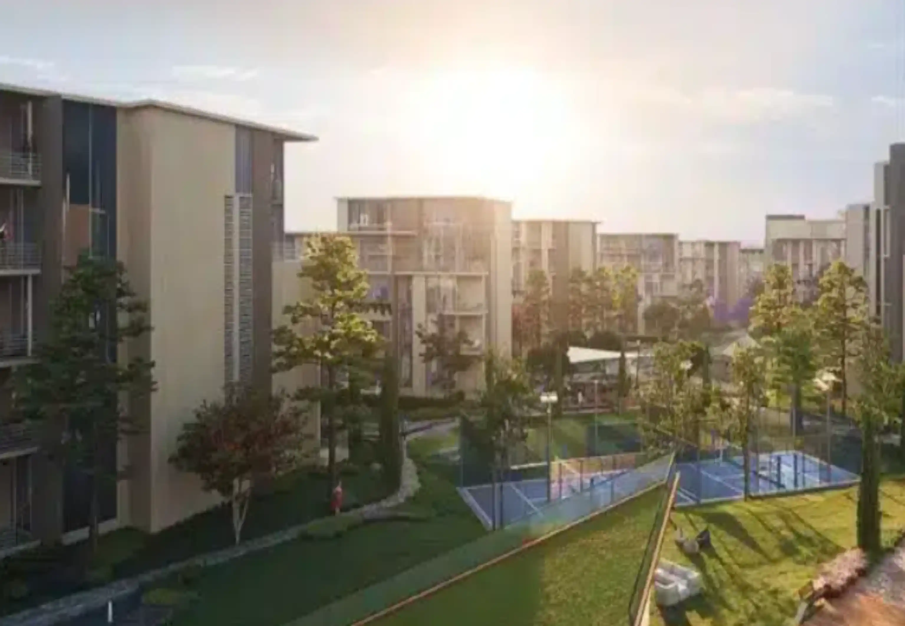 West LEAVES, New Zayed,10014