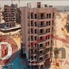 مشرو- اركا- بالم- الشيخ- زايد