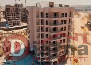 مشرو- اركا- بالم- الشيخ- زايد