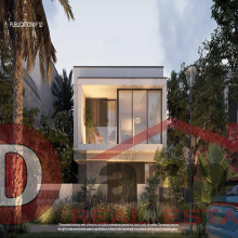 NMQ, Sheikh Zayed